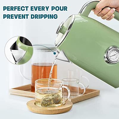 Hot Water Kettle Electric, 1500W Electric Tea Kettles Boiler with  Thermometer, Stainless Steel Pour-Over Kettle Teapot 1.7L, Auto Shut-off &  Boil-Dry
