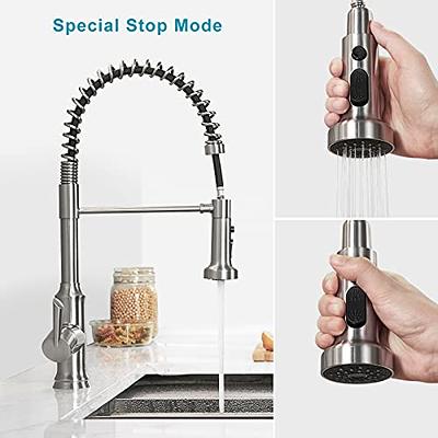 Kitchen Sink Faucet Wasserrhythm