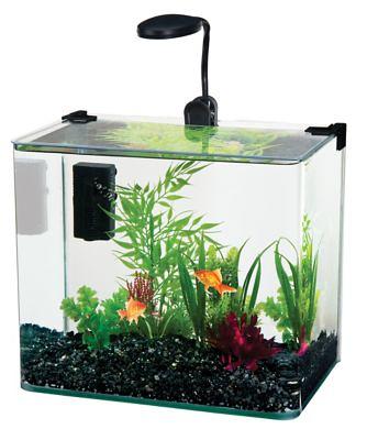 Dry Branch Sports Design Catch and Release Plastic Beach Aquarium Kit ,  Clear, Fish 