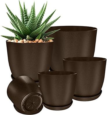 WOUSIWER 16 Pack 6 inch Plastic Planters for Indoor Flower Pots, Heavy Duty  and Stylish 6 Inch Plant Pots for Indoor Plants with Drainage Holes and  Tray for Plants, Flowers, Black - Yahoo Shopping