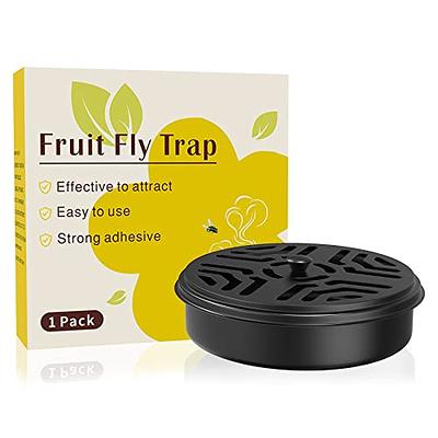 Fruit Fly Traps for Indoors | Gnat Traps for House Indoor | Super Effective  Yellow Sticky Traps can Also be Used Outdoors | Also for Fungus Gnats