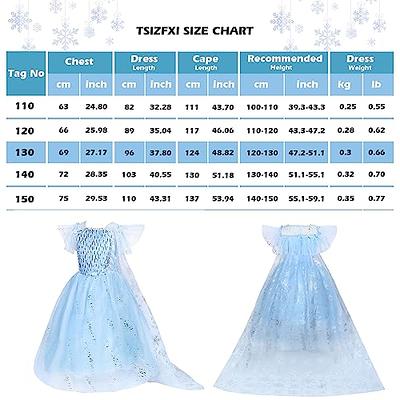 Frozen Birthday Party Dresses