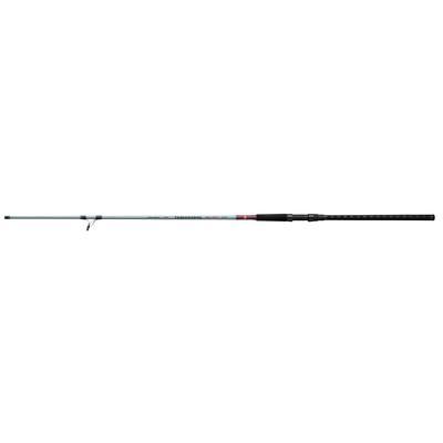 Daiwa BG/Offshore Angler Salt Striker Spinning Combo