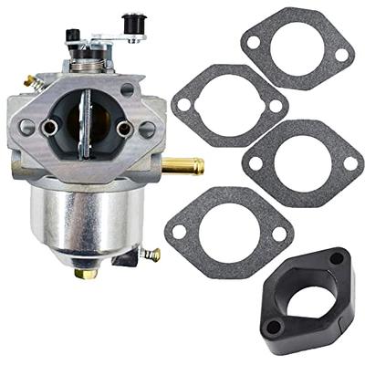 raseparter 491912 Carburetor Replacement for Briggs & Stratton