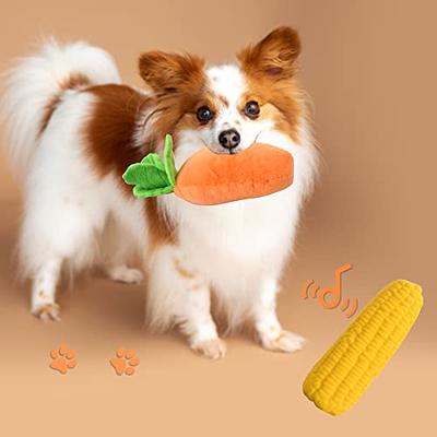 CARROT Dog Puzzle Toys