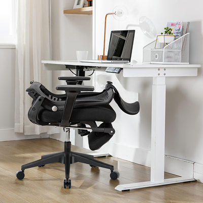 Isairis Ergonomic Office Chair with Adjustable Headrest and Armrests