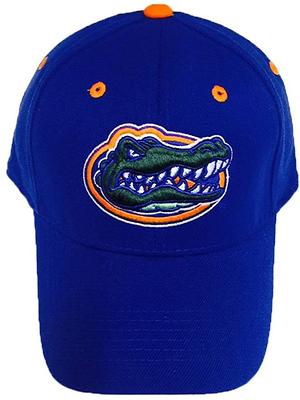 Men's Nike Royal Florida Gators True Performance Fitted Hat