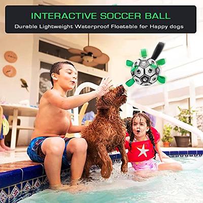 LOTMIAI Dog Soccer Ball Toy Pet Interactive Ball for Indoor Outdoor, Puppy  Birthday Gifts Durable, Funny Dog Water Toy