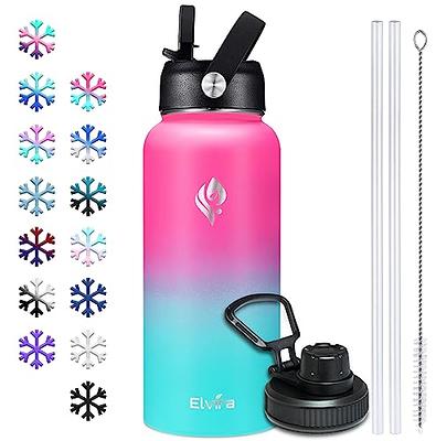 Sana Store  Stainless steel water filtration bottle