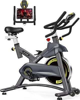 Cyclace Exercise Bike Stationary 330 Lbs Weight Capacity