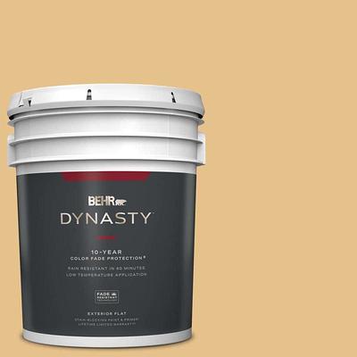 BEHR DYNASTY 5 gal. #BNC-07 Frosted Silver Flat Exterior Stain-Blocking  Paint & Primer - Yahoo Shopping