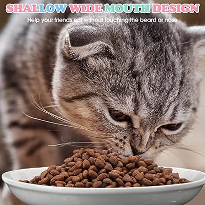 Elevated Cat Bowls, Bowls With Stand, Raised Cat Food Kitten Bowl, Ceramic  Best - Yahoo Shopping