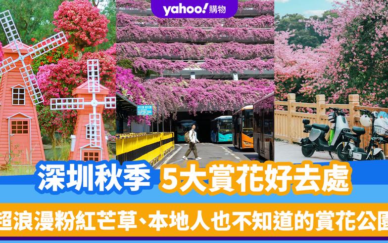 深圳賞花2024｜秋季北上5大賞花好去處！超浪漫粉黛亂子草、仙湖植物園隱藏打卡位、本地人也不知道的賞花公園