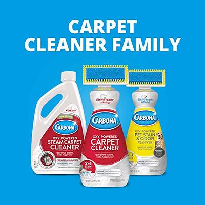 Carbona Oxy-Powered Pet Stain & Odor Remover w/ Active Foam