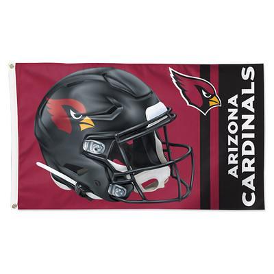 Carolina Panthers WinCraft 3' x 5' Helmet Deluxe Single-Sided Flag