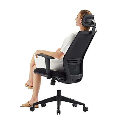 Hbada E3 Ergonomic Office Chair with Elastic Adaptive Lumbar Support, High Back Office Chair with High-Density Mesh, Backrest Height Adjustable Desk