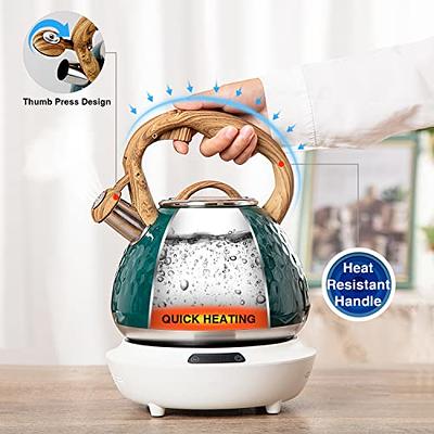 POLIVIAR Tea Kettle, 2.7 Quart Teapot Loud Whistling Anti-Rust, Gray  AWESOME !