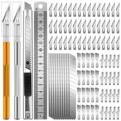 Jetmore 42 Pack Craft Knife Kit, 2 PCS Hobby Knife Precision Cutter  Silicone Handle with 40