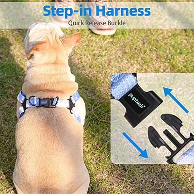 Buy PUPTECK Adjustable Dog Harness Collar and Leash Set Step in No