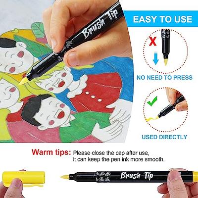  Tesquio 12 Colors Paint Markers Paint Pens, Dual Tip