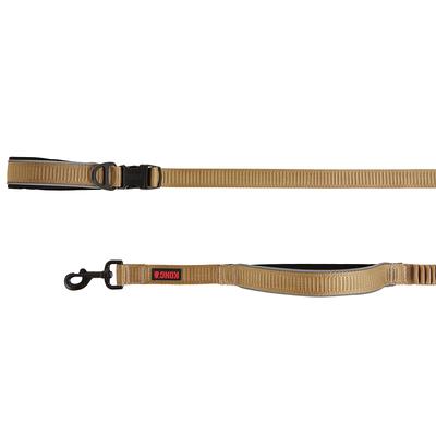 Slip lead hot sale leash petsmart