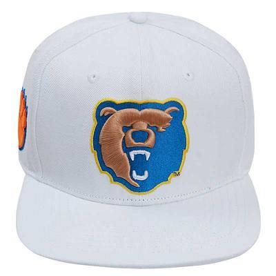 Pro Standard Men's Royal Tennessee State Tigers Evergreen State Snapback Hat