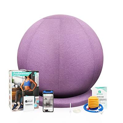 Wayfair  Exercise Ball Chairs