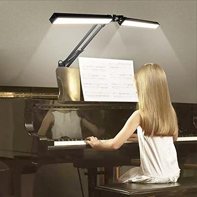 2-in-1 Desk Lamp, Desk Light With Flexible Arm,3 Color Modes Dimmable Double  Head Desk Lamps For Home Office Workbench Reading 