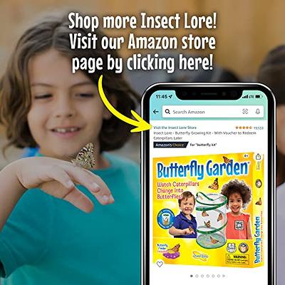 Insect Lore - Butterfly Growing Kit - Clear Front Facing Viewing Panel -  Pre-Paid Voucher to Redeem Caterpillars Later – Life Science & STEM  Education – Butterfly Science Kit, Large - Yahoo Shopping