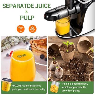 Juicer Machines,Iwodtech Slow Masticating Juicer,Cold Press Juicer