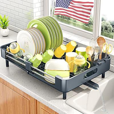 Genteen Dish Drying Rack, 2 Tier Stainless Steel Dish Rack with Drainboard  and Rotatable Spout, Dish Drainers for Kitchen Counter with Utensil, Glass