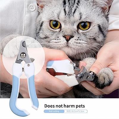 Pet Hair Remover Comb Practical Pet Facial Cleaning Brush for Small Dogs  Teddy