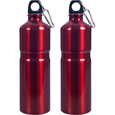 Aoibox 32 oz. Retro Boardwalk Stainless Steel Insulated Water Bottle (Set  of 1) SNPH004IN132 - The Home Depot