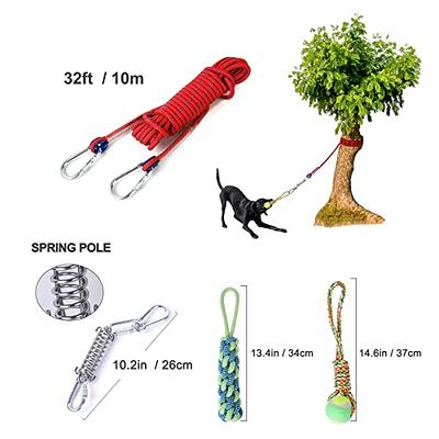 Spring Pole Dog Rope Toys, Tree Bungee Hanging Dog Toys, Indoor Outdoor Dog  Bungee Tug Interactive Exercise Toys, Pull & Tug Of War Dog Toy With Chewe