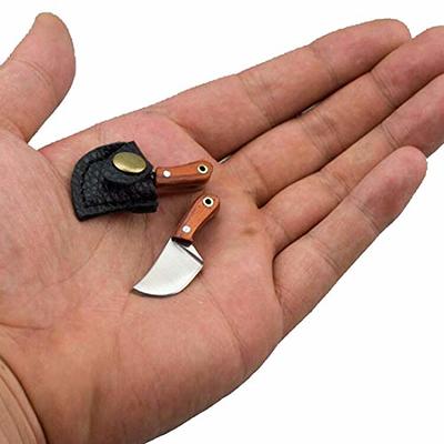 WORLD'S SMALLEST WORKING POCKET KNIFE! Tiny Miniature REAL mini