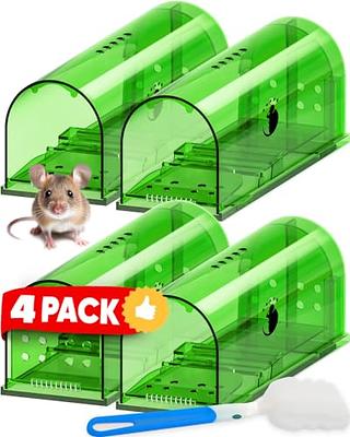 Motel Mouse Humane Mouse Traps No Kill Live Catch and Release 4 Pack -  Reusable, Easy to Use & Clean, No Touch Release, Sensitive Includes  Cleaning