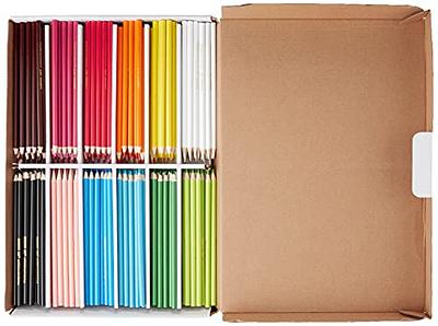 Crayola Watercolor Pencil 240 ct Classpack