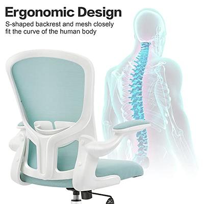 HOLLUDLE Ergonomic Office Chair with Foldable Backrest, Computer Desk Chair  with Flip-up Armrests, Mesh Lumbar Support and Tilt Function Big and Tall