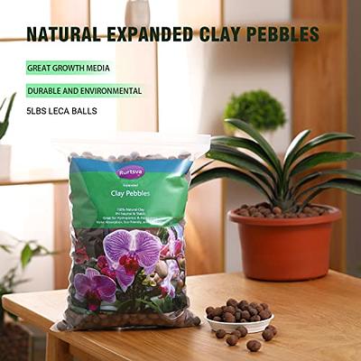 Decorative Clay Pebbles Stones Rocks, Leca Balls for Indoor