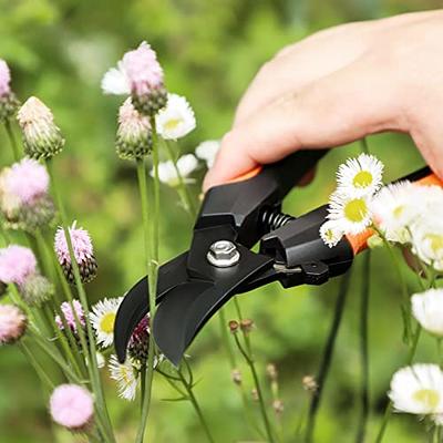 CyberGenZ Anvil Pruning Shears - 8 Garden Shears Pruning, Heavy Duty  Garden Clippers Handheld with Orange Adjustable Grip, Gardening Pruners  Tool for