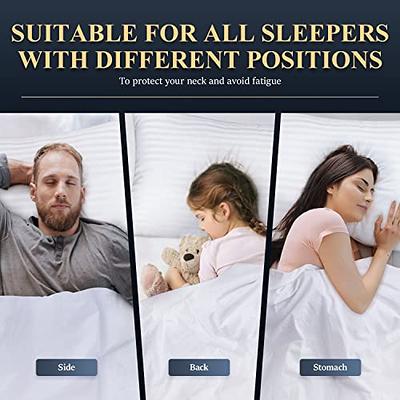 Acanva Cooling Bed Pillows for Sleeping 2 Pack, Premium Microfiber Filling  Soft Supportive with Removable Cover Skin-Friendly, Standard (Pack of 2)