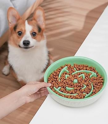 LE TAUCI PET Dog Slow Feeder Bowl Ceramic, 1.5 Cups Puzzle Maze Food Bowl  for Small Medium Large Breed, Puppy for Fast Eater to Slow Down Eating