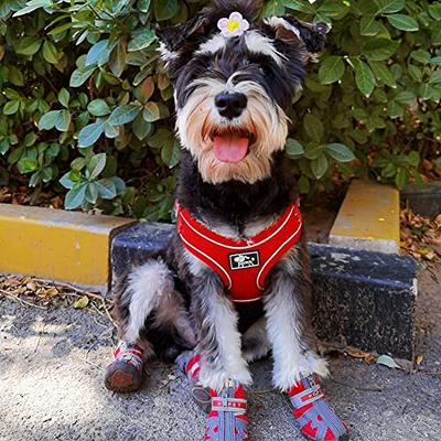 Dog Shoes for Small Dogs Boots, Waterproof Dog Booties Paw Protector for Outdoor Walking, Puppy Shoes with Reflective Strips Rugged Anti-Slip Sole