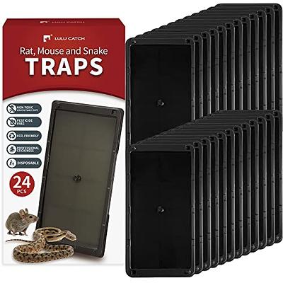 Black & Decker Mouse Trap Rat Trap Indoor Outdoor Snap Trap Touch Free  Reusable, 12 Pack 2BX-BDXPC816