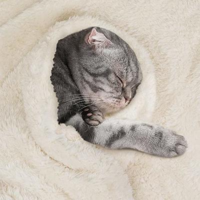 PetAmi Sherpa Fleece Waterproof Cat & Dog Blanket, Beige, Queen - Yahoo  Shopping