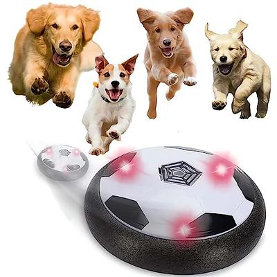 Wicked Ball PE: Smart Interactive Dog Toy for Medium & Large Breeds