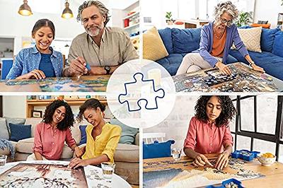 Ravensburger Aimee Stewart Treasure Trove 1000 Piece Jigsaw Puzzles for  Adults and Kids Age 12 and Up