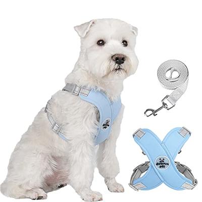Buy PUPTECK Adjustable Dog Harness Collar and Leash Set Step in No