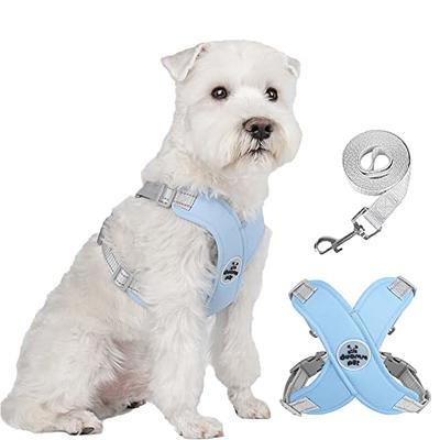 Choke-Free Shoulder Collar Harness for Small Dogs