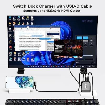 RREAKA Portable Switch Dock USB C to 4K HDMI Conversion Cable for Nintendo  Switch/Switch OLED, TV HDMI Adapter Cable Compatible with Nintendo Switch